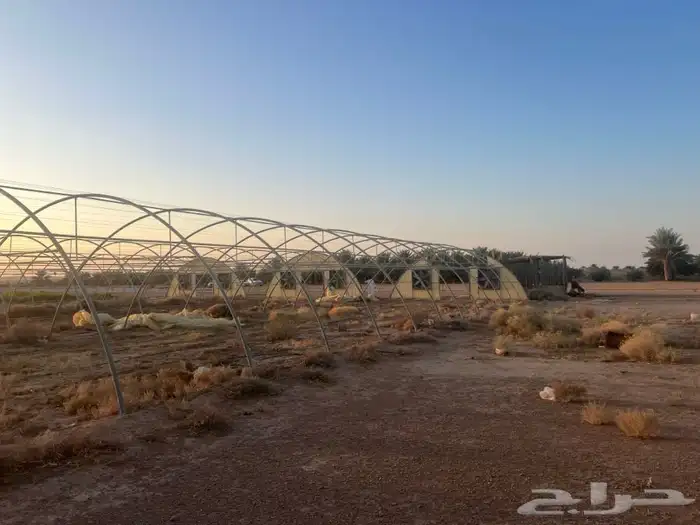 بيوت محمية حديد مجلفن 0