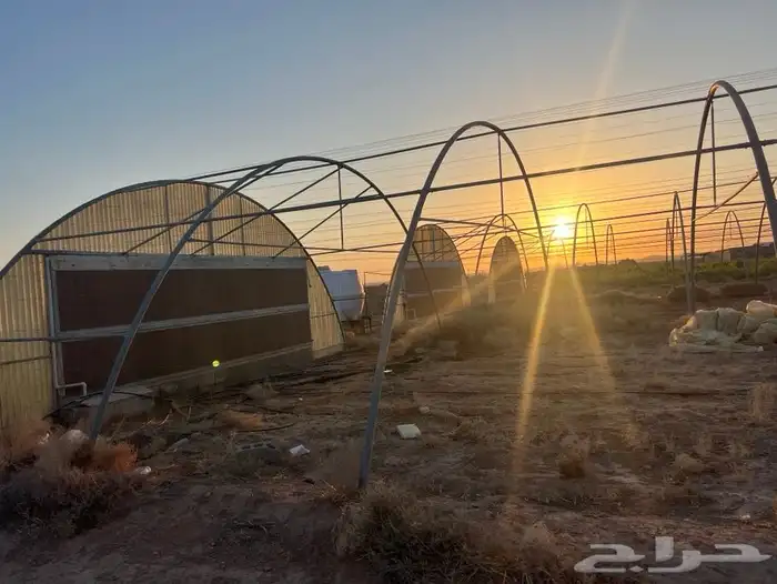 بيوت محمية حديد مجلفن 1