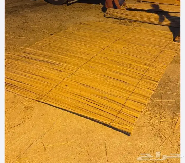 سعف نخل مخزوز شغل من الخر 1