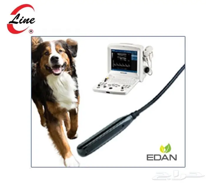 سونار كشف حمل ومشاكل الحمل في الإبل والبقر والخيل 1