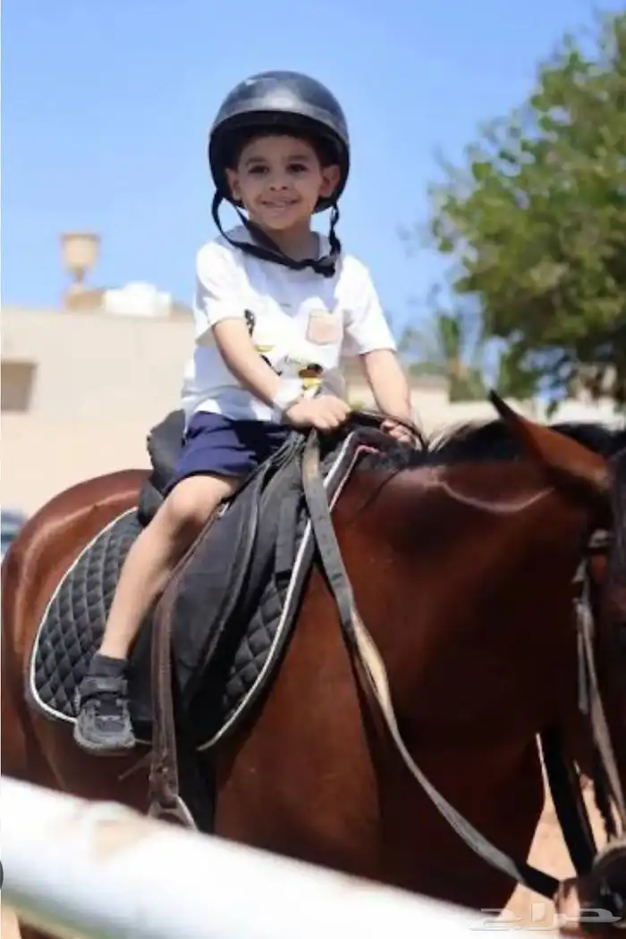 تدريب ركوب الخيل 1