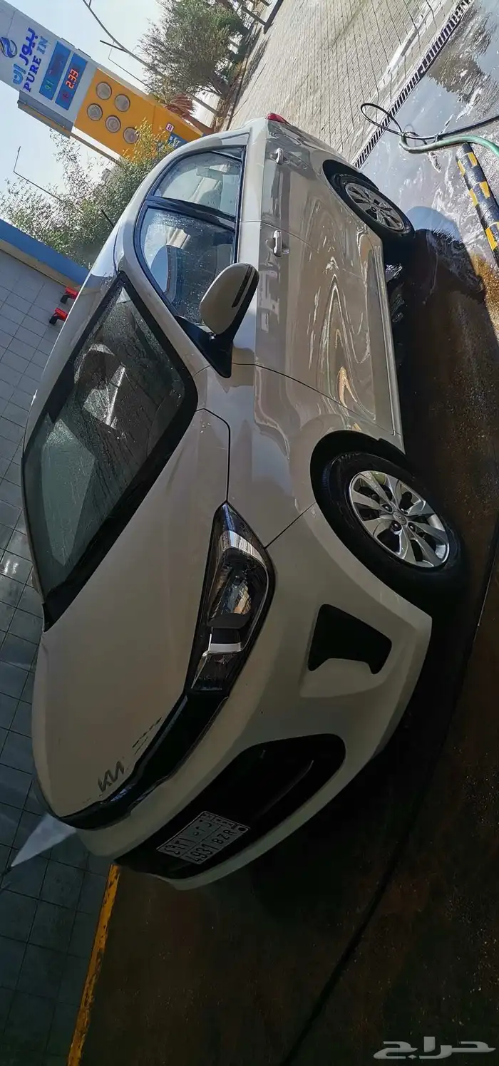 Kiya kN Pegas 2024 0