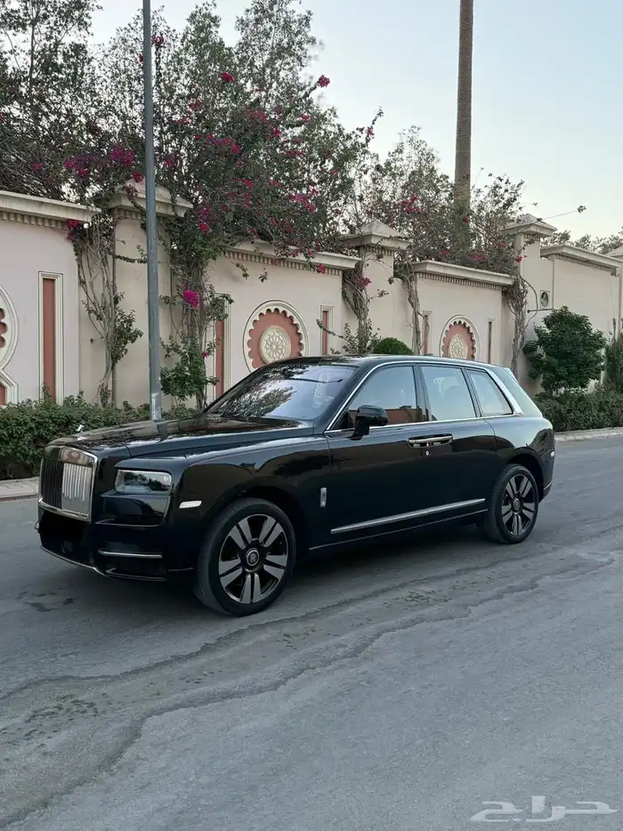 روز كولينان سلفر باج 2019 1