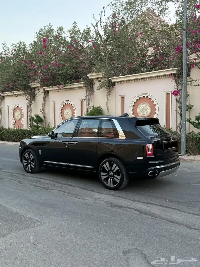 روز كولينان سلفر باج 2019 5