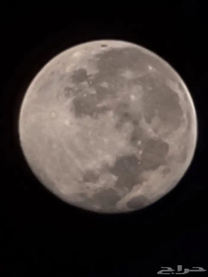 كاميرات كانون و رينون 13