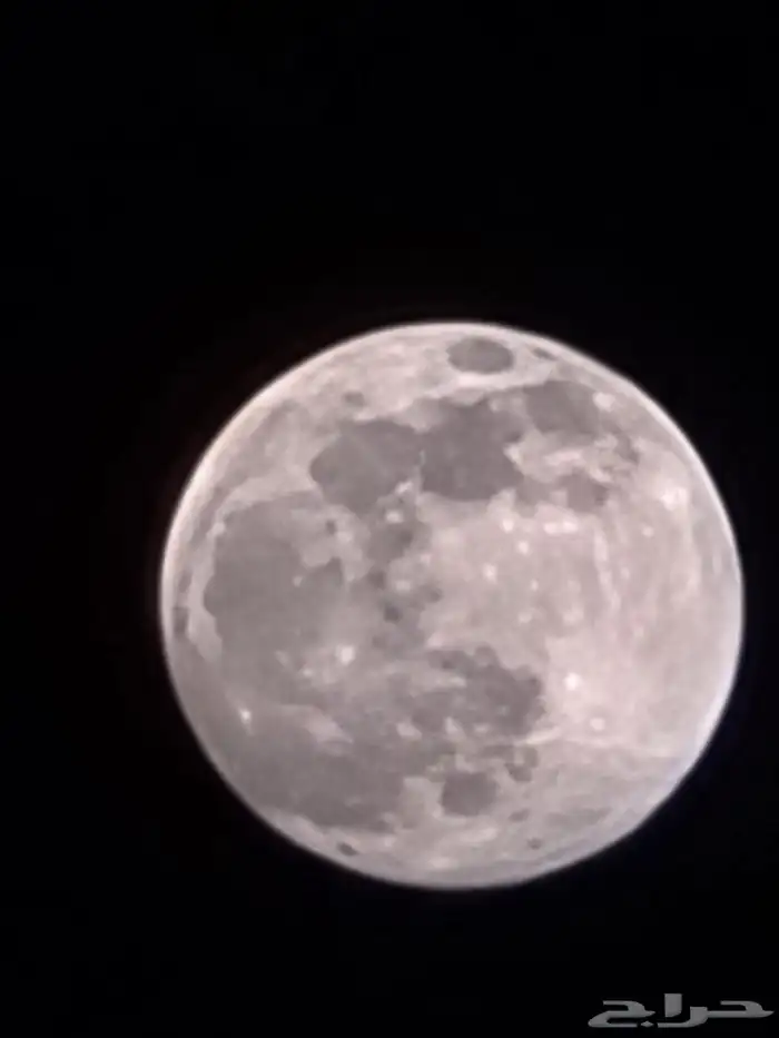 كاميرات كانون و رينون 12