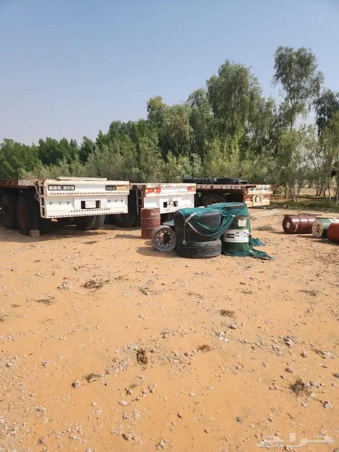 تيادر للبيع 0