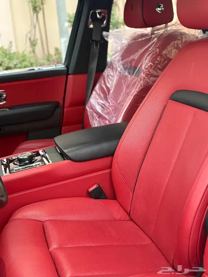 روز كولينان سلفر باج 2019 16