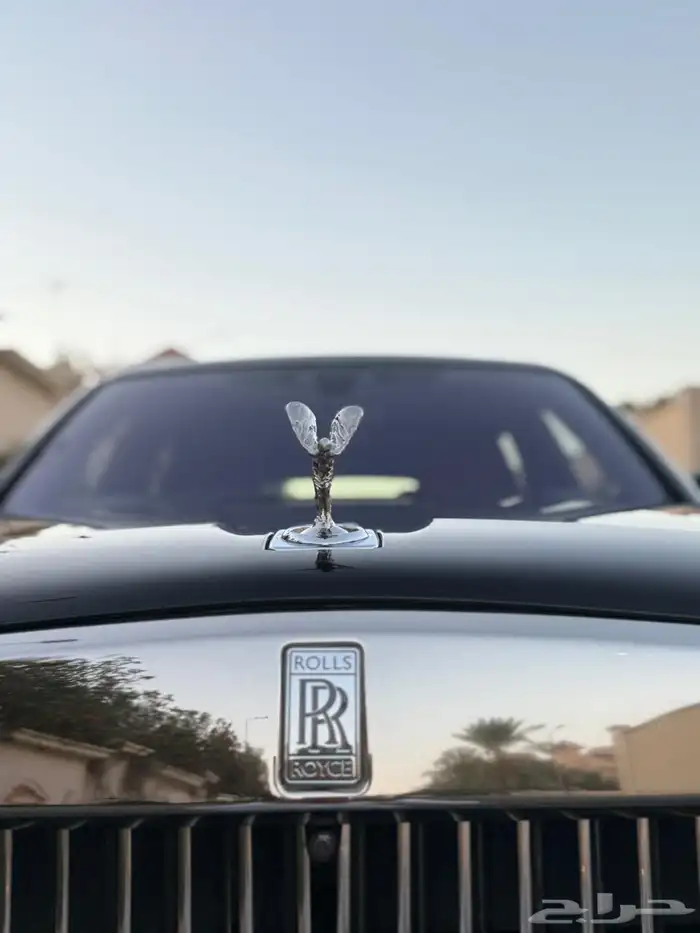 روز كولينان سلفر باج 2019 10