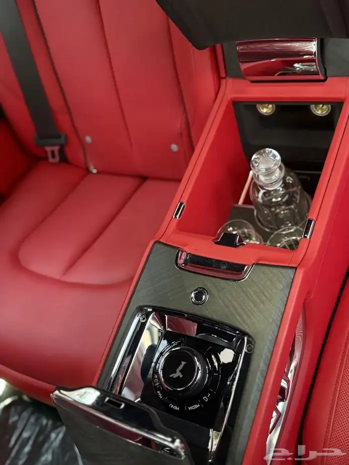 روز كولينان سلفر باج 2019 23