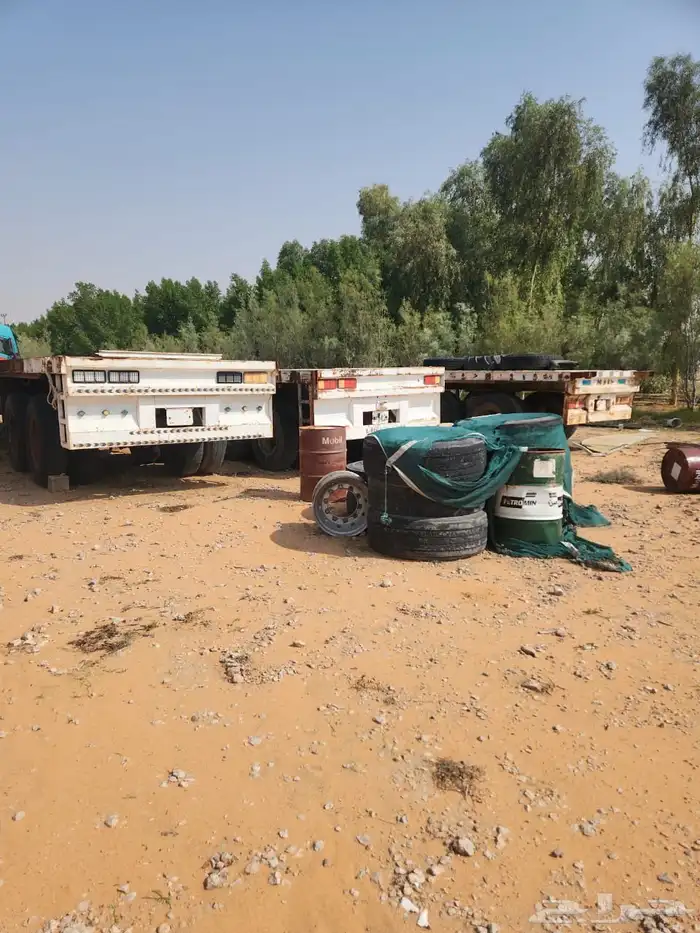 تيادر للبيع 8