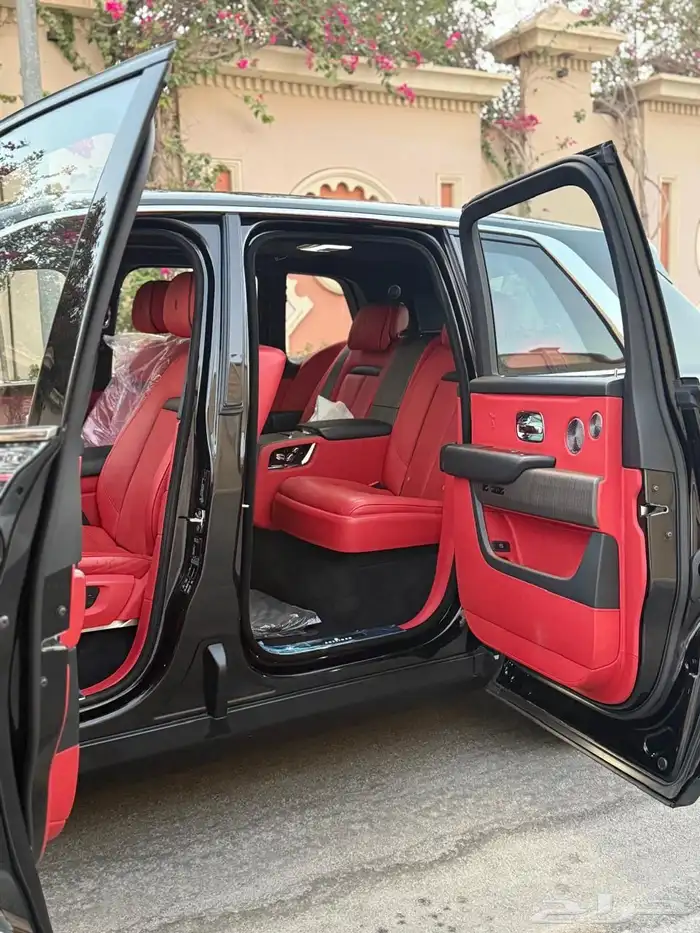 روز كولينان سلفر باج 2019 18