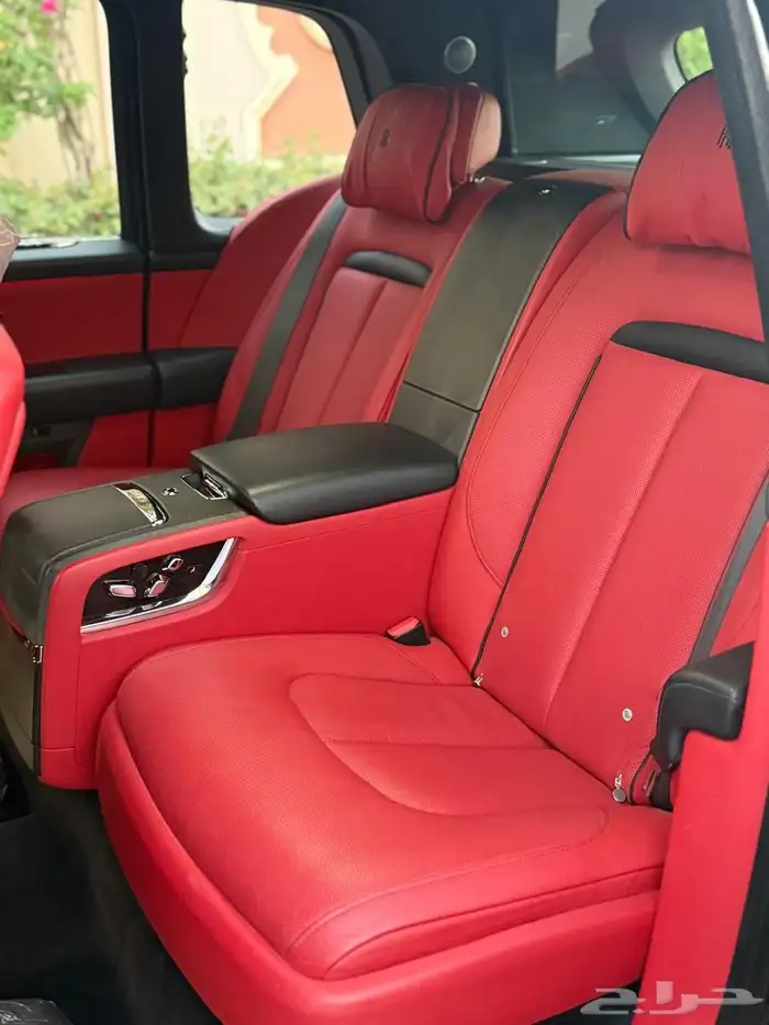 روز كولينان سلفر باج 2019 22