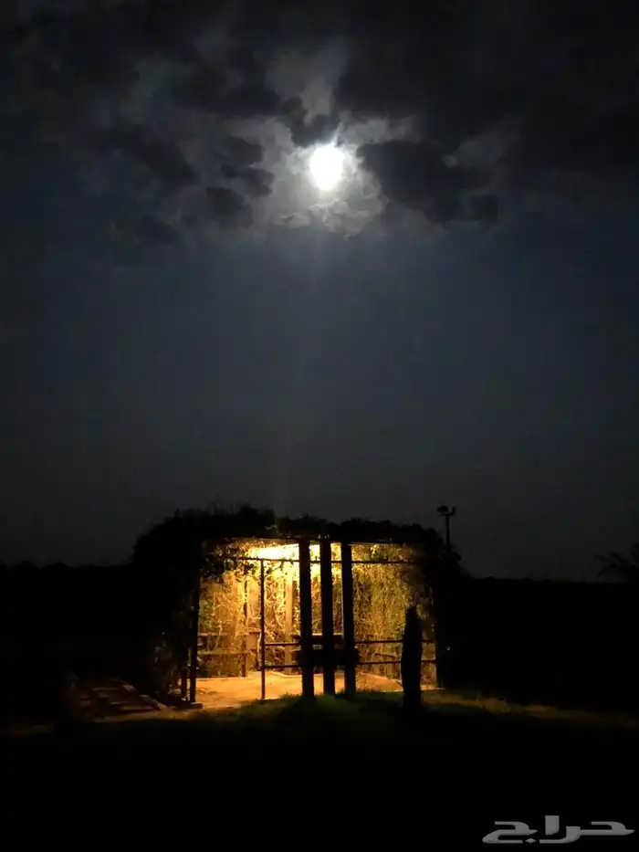 للبيع مزرعة عيون الجواء ( المليدا الشماليه) 4