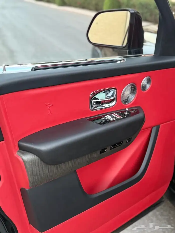 روز كولينان سلفر باج 2019 24