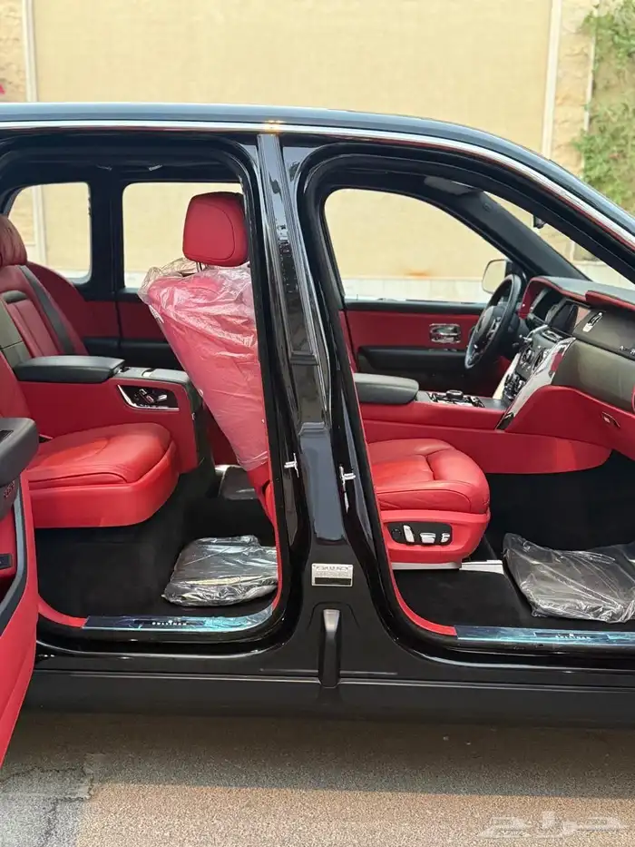 روز كولينان سلفر باج 2019 21