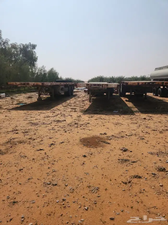 تيادر للبيع 15