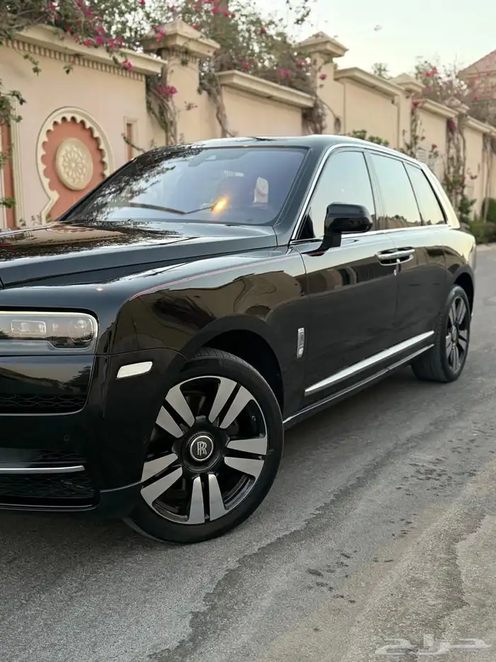 روز كولينان سلفر باج 2019 12