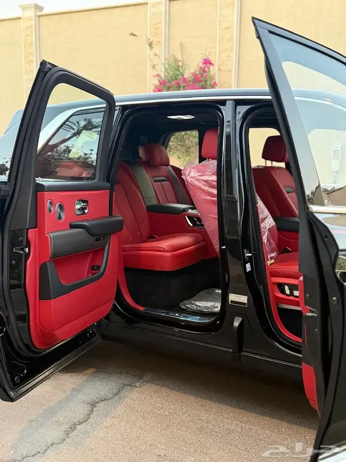 روز كولينان سلفر باج 2019 19