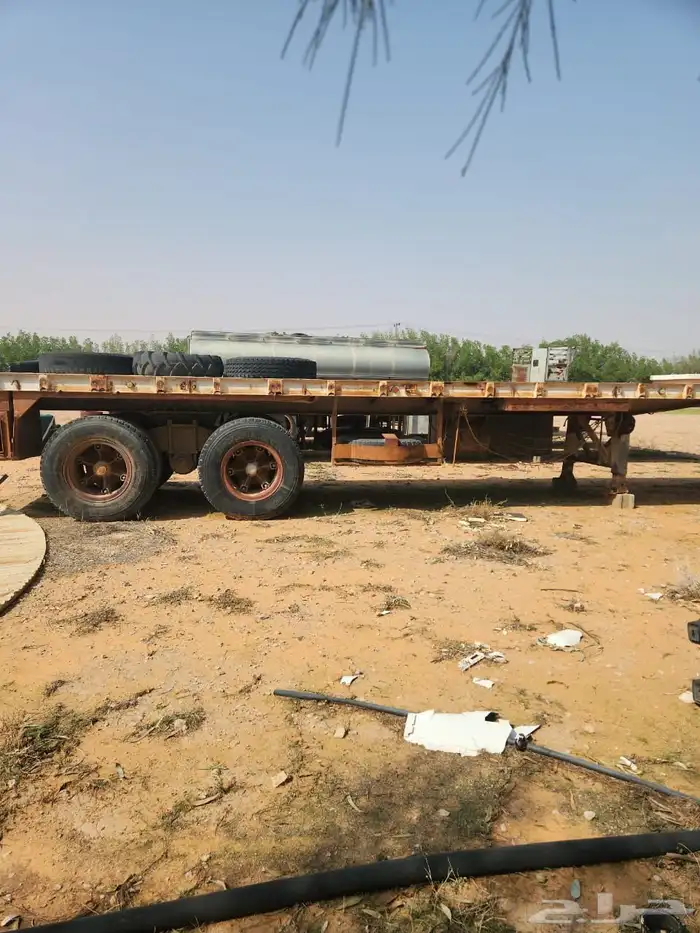 تيادر للبيع 14