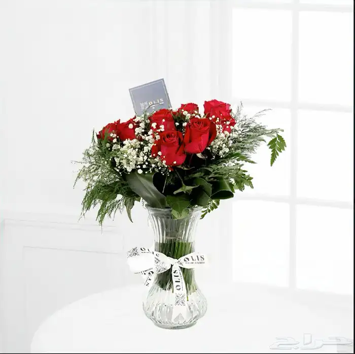 مصورة منتجات للعرض بالمتاجر بأقل الأسعار 17