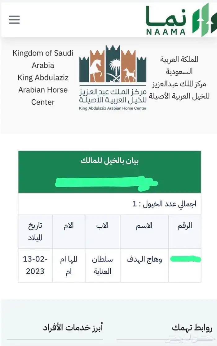 خيل عربي للبيع 2