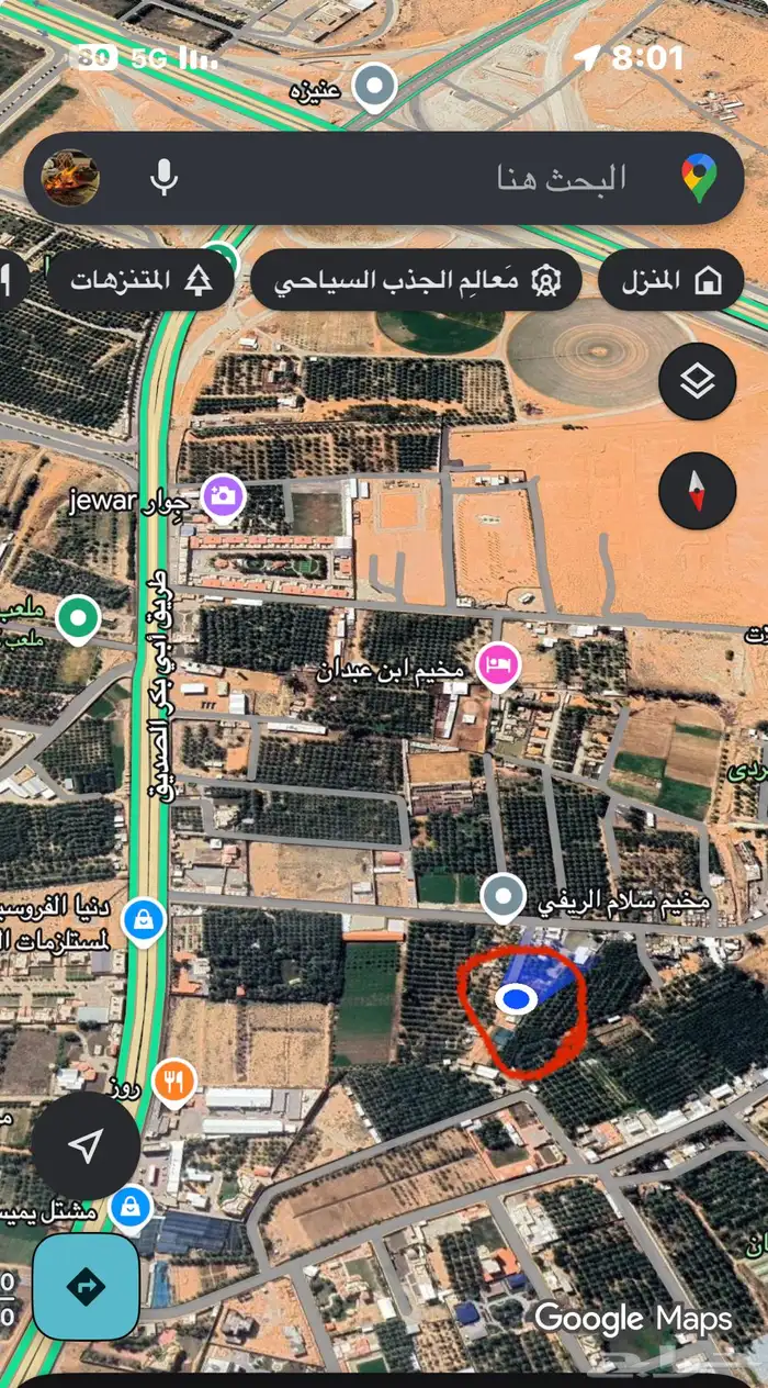 مخيم السوسن في عنيزة 13