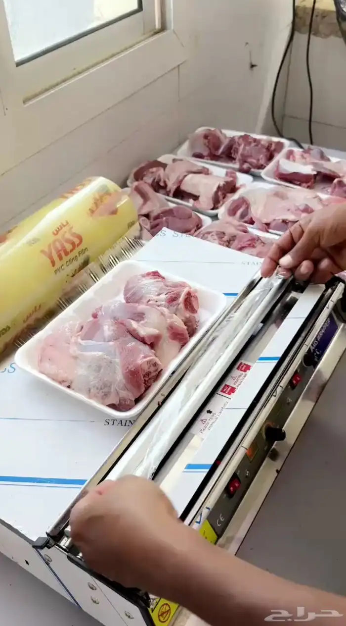تيوس مخاصي ذبائح للبيع جملة وتفريد كاش وتمارا مع الذبح والت 10