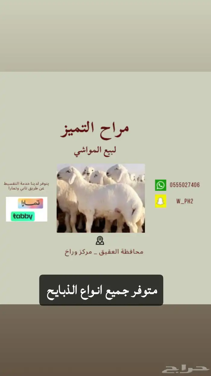 يتوفر ذبايح طليان رخال جفار ب خدمة التقسيط تمارا 0