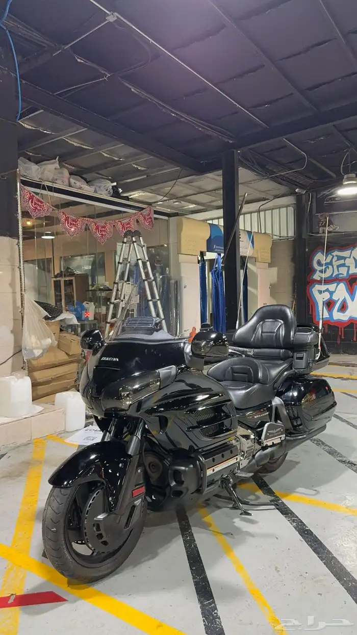 دباب قولد وينق رحال 10