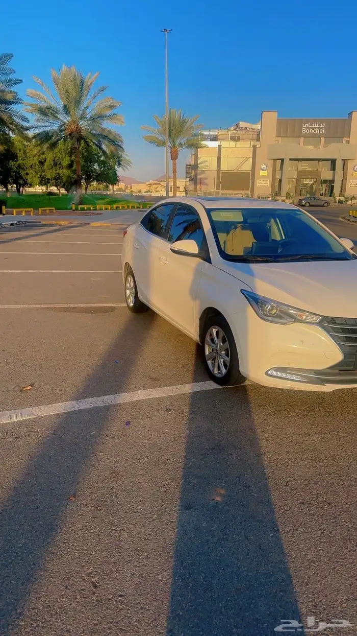 شانجان السفن 2024 فل كامل 0