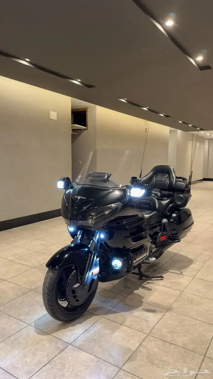 دباب قولد وينق رحال 2