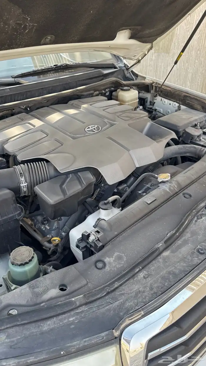 جسكار مخزن شرط ونادر 11