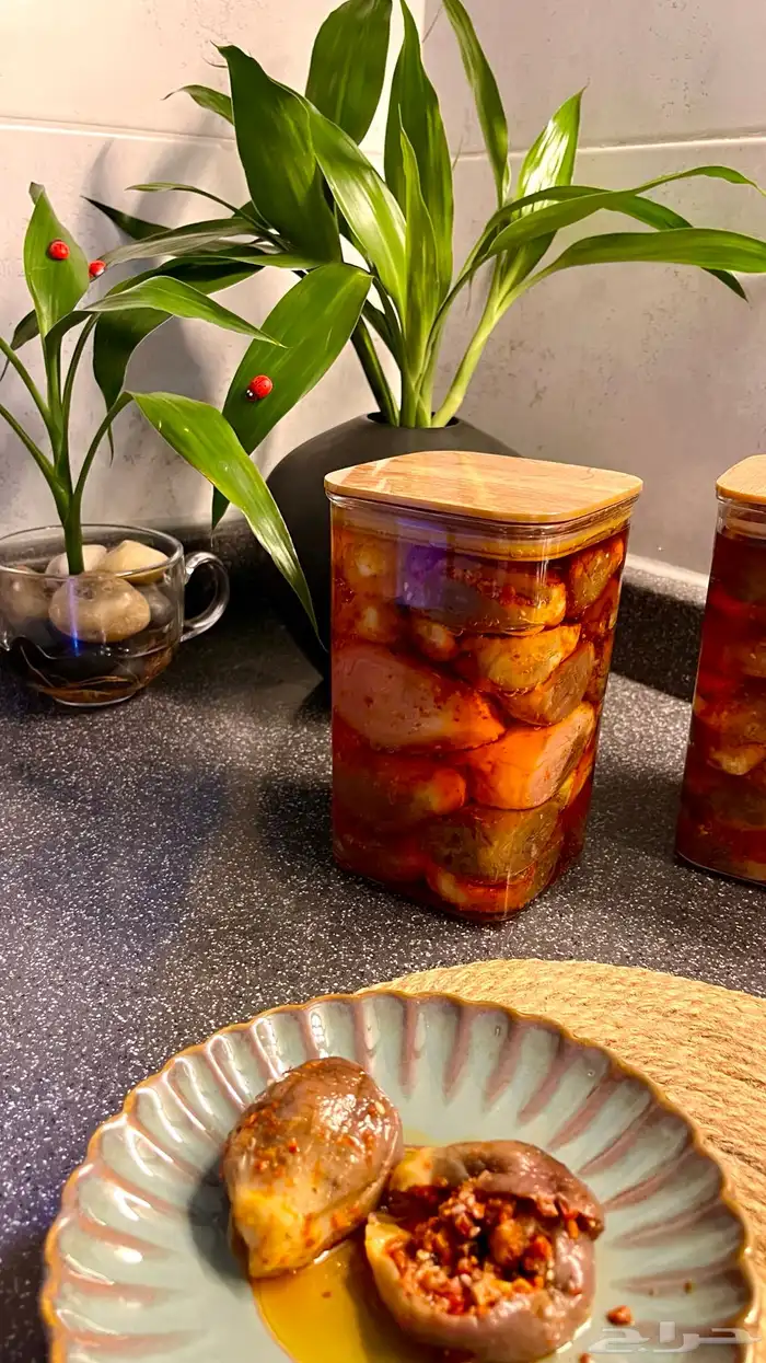 مقدوس سوري بلدي 4