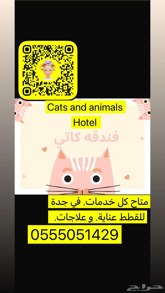 اوتيل قطط جدة وطيور 0