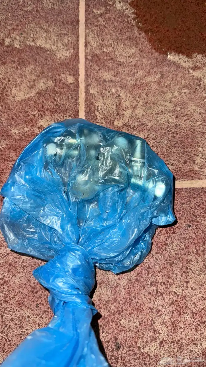 للبيع اديتر جكسار2003 9