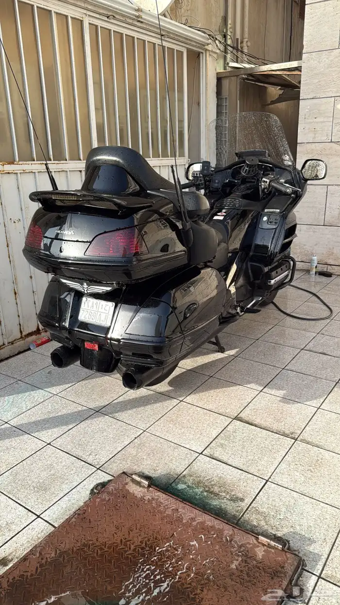 دباب قولد وينق رحال 16