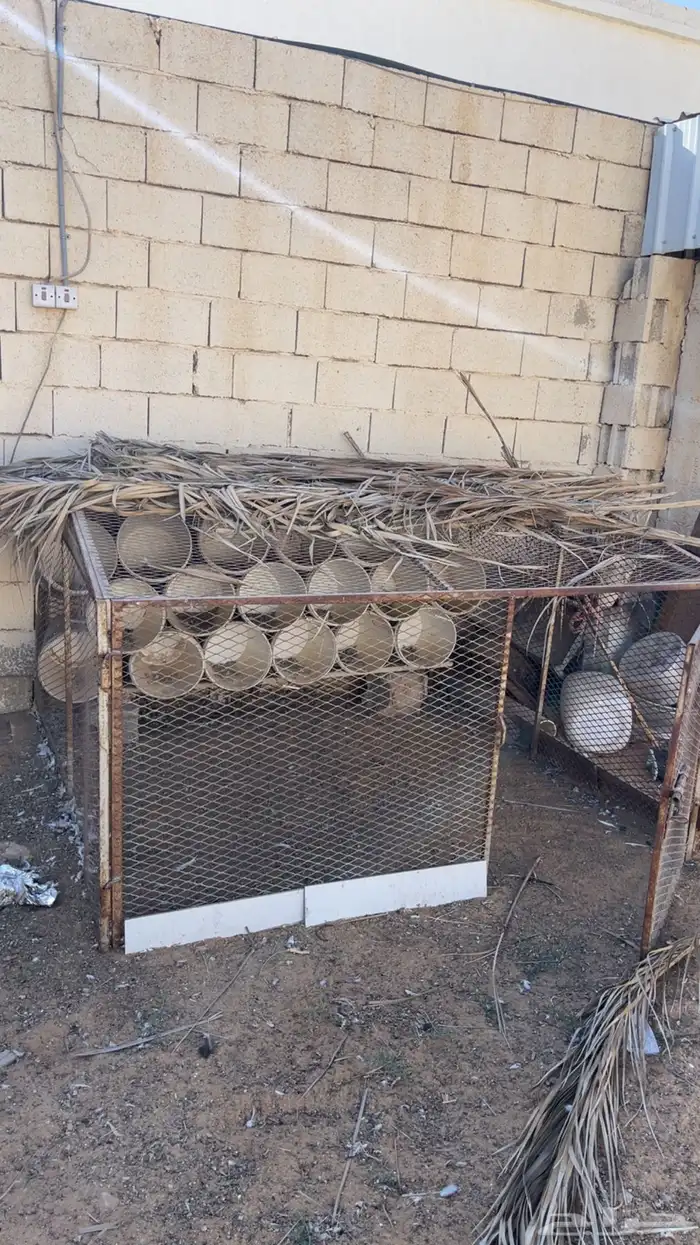 للبيع شبك 2 1 0