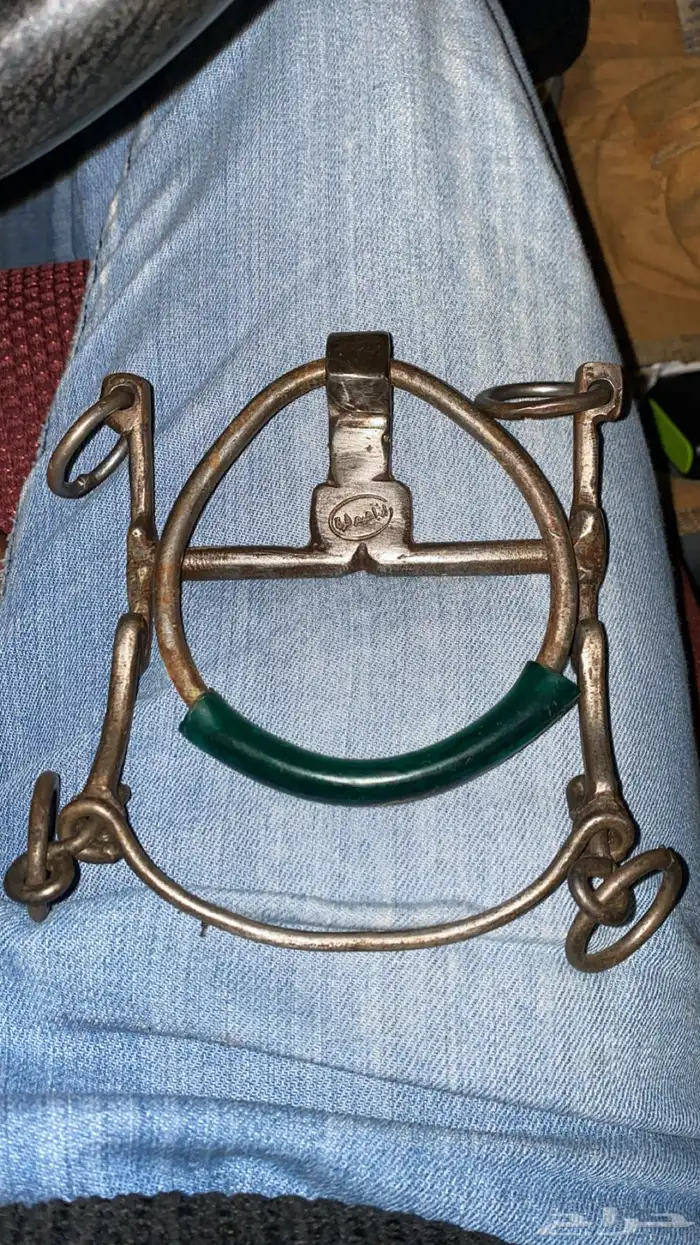 شكيمة مصريه 0