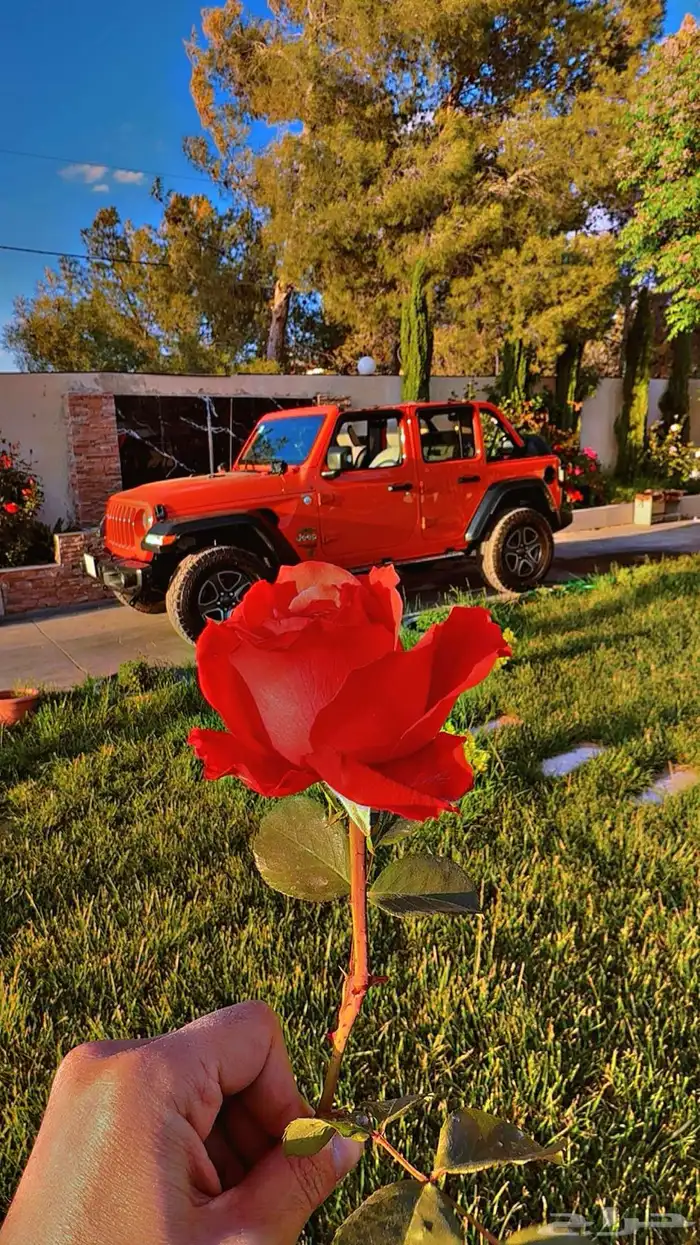 جيب رانجلر لون ترند للبيع 10