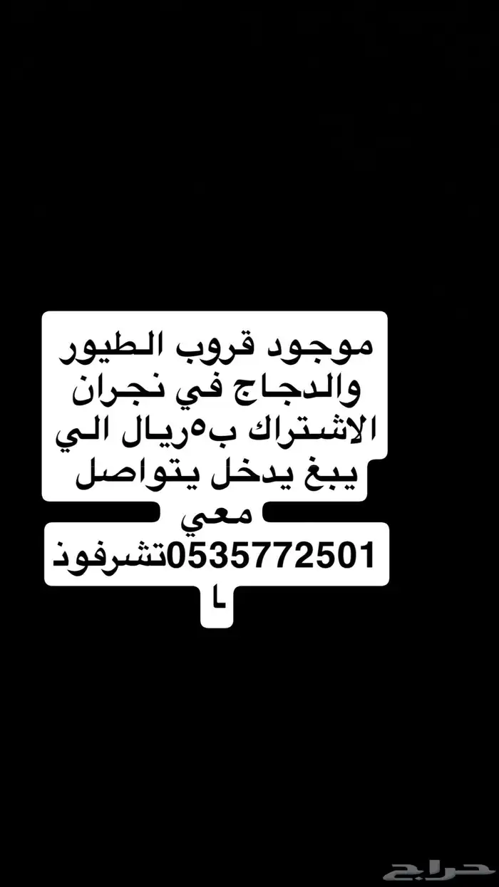 يوجد قروب الطيور والدجاج في نجران بشتراك5ريال شهري الي يبغ 0