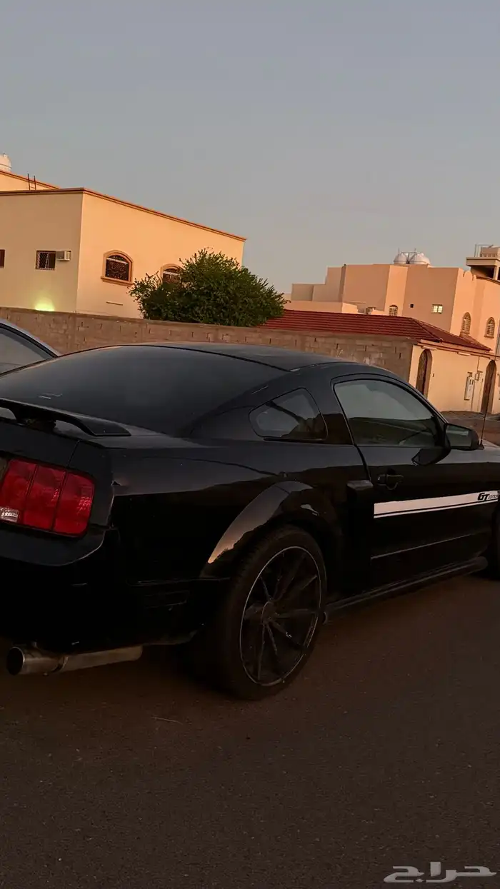 موستنج gt 2007 6