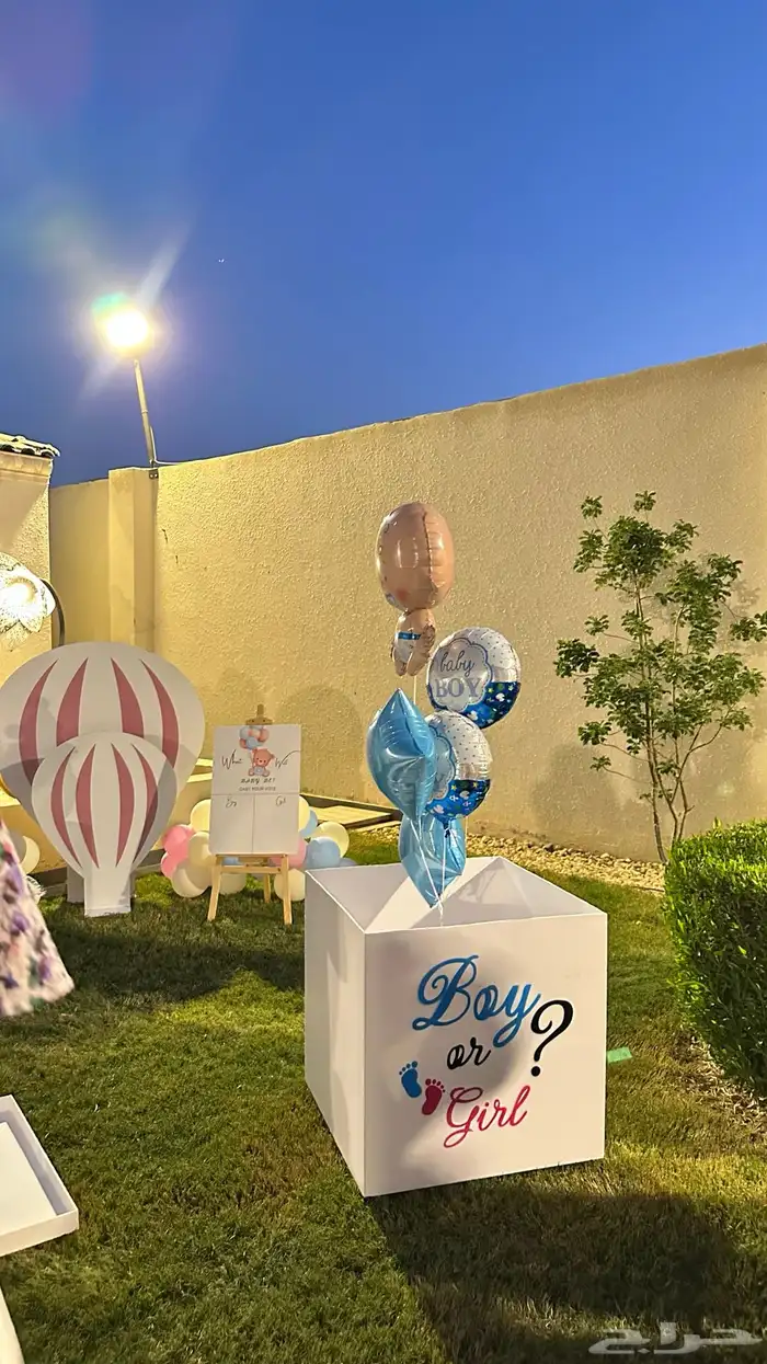 بوكس كشف الجنين 70في 70 سم جندر ريفيل 1