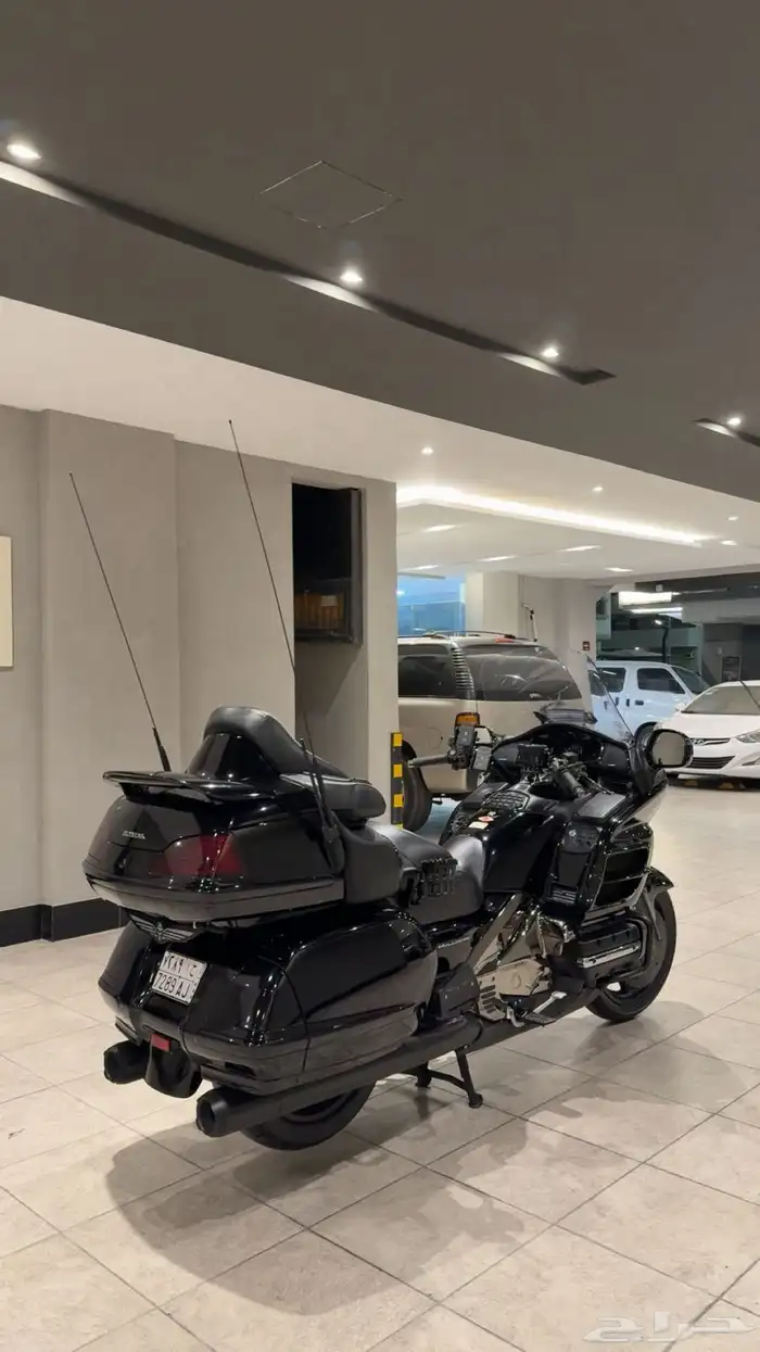 دباب قولد وينق رحال 0