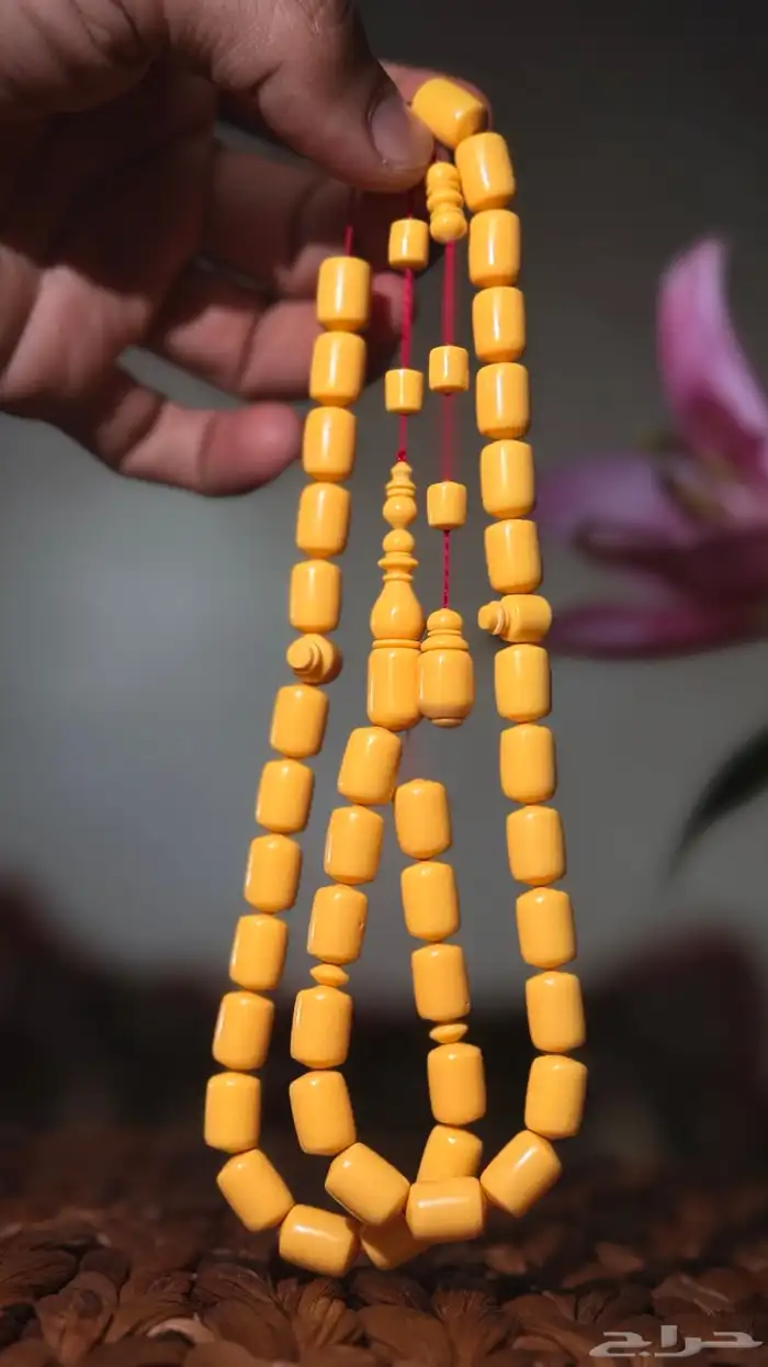 سبح النور 12