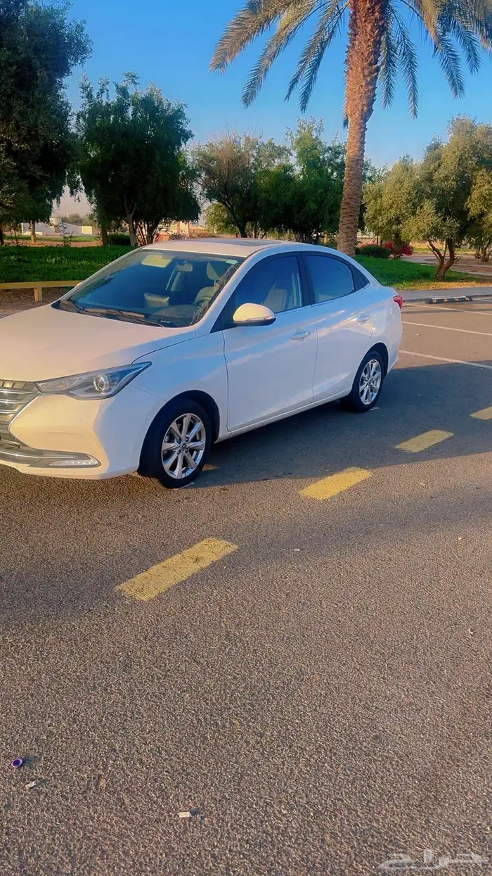 شانجان السفن 2024 فل كامل 1