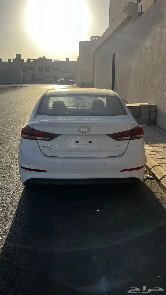 النترا 2017 مصدومة 5