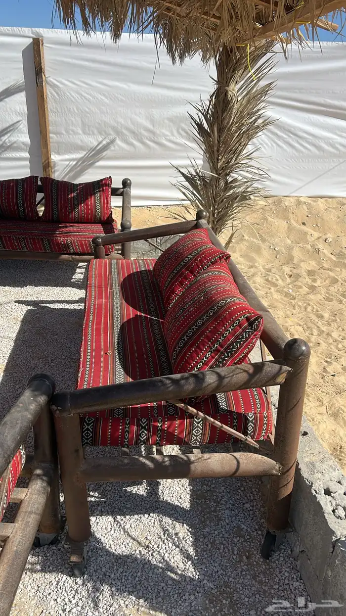 اغراض مخيم - فيه كراسي حديد مع كفراتها - وفيه سعف - 0