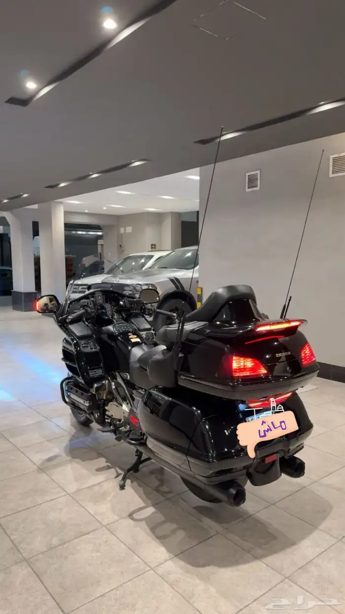 دباب قولد وينق رحال 13