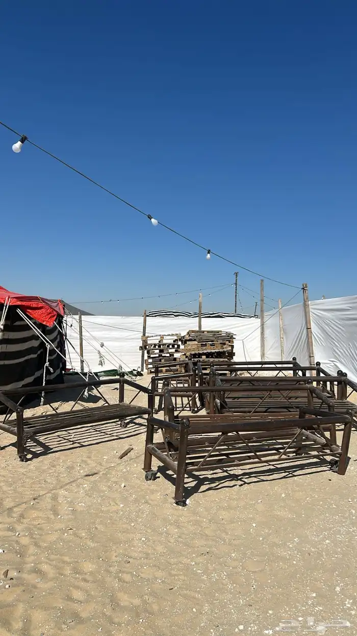 اغراض مخيم - فيه كراسي حديد مع كفراتها - وفيه سعف - 2